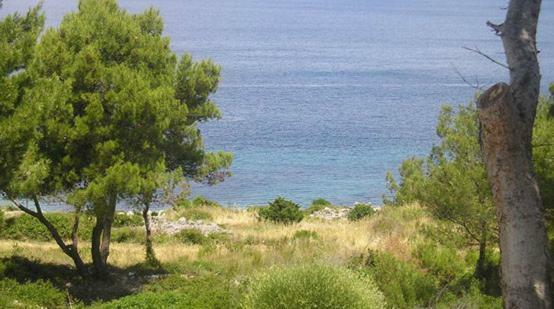 Apartments Nika Mali Losinj Bagian luar foto